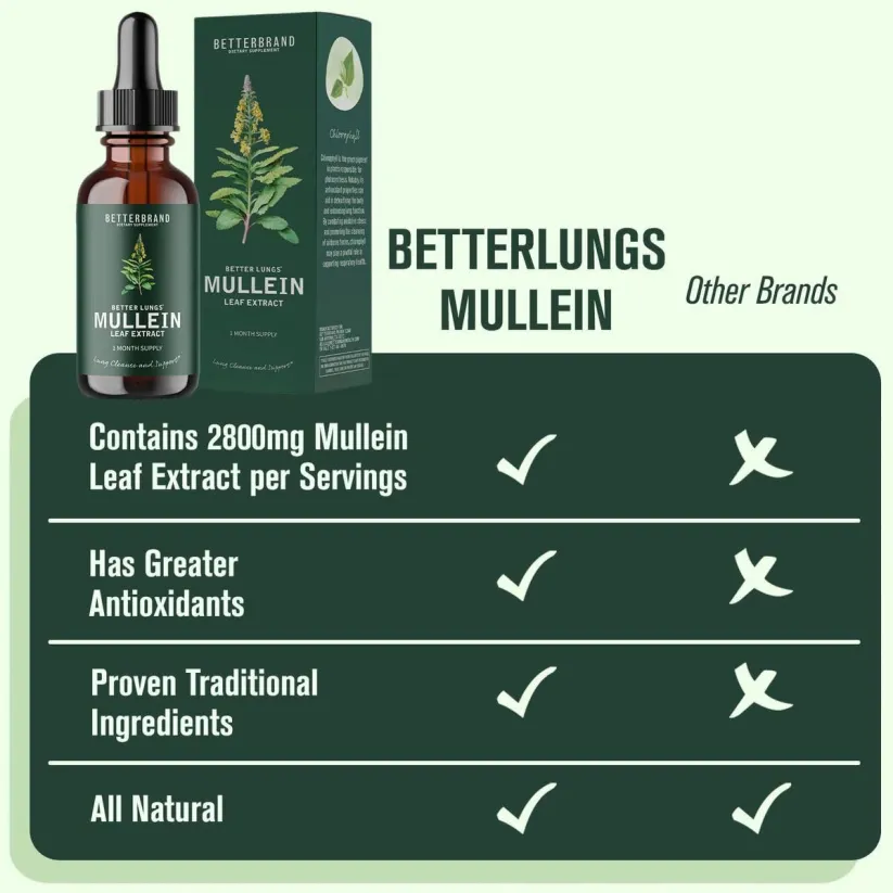 Mullein Leaf Extract view 3